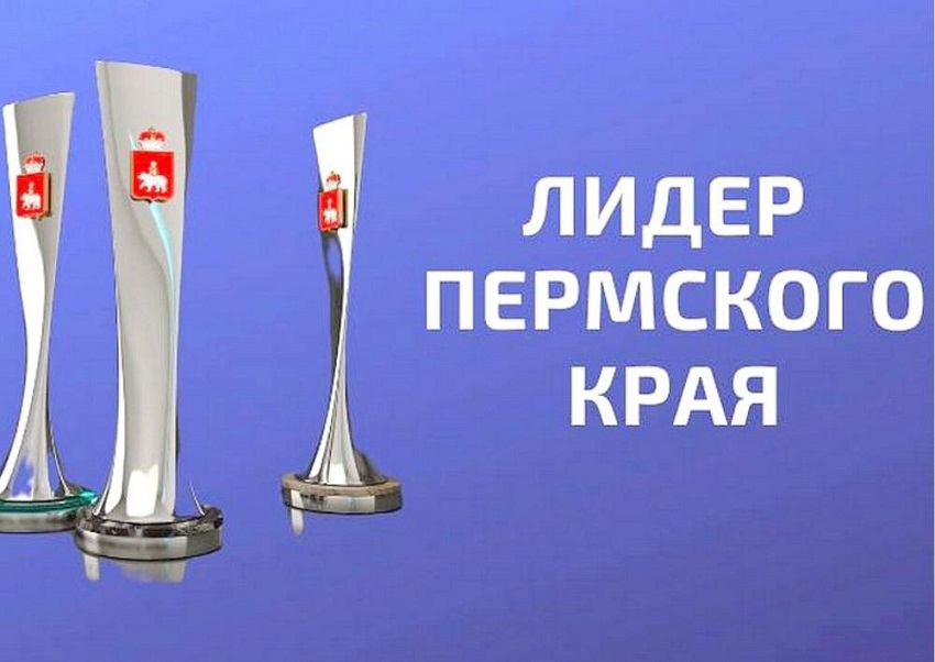 Социальная и образовательная сфера представили больше всего проектов на конкурс «Лидер Пермского края»