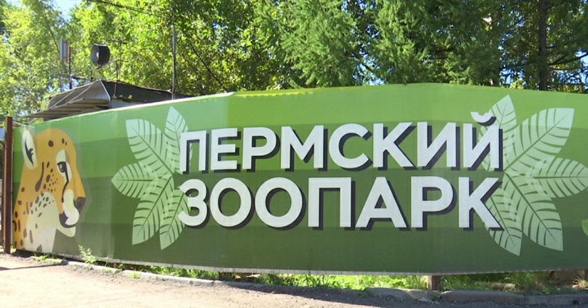 На установку скал в новом пермском зоопарке потратят почти 200 миллионов рублей