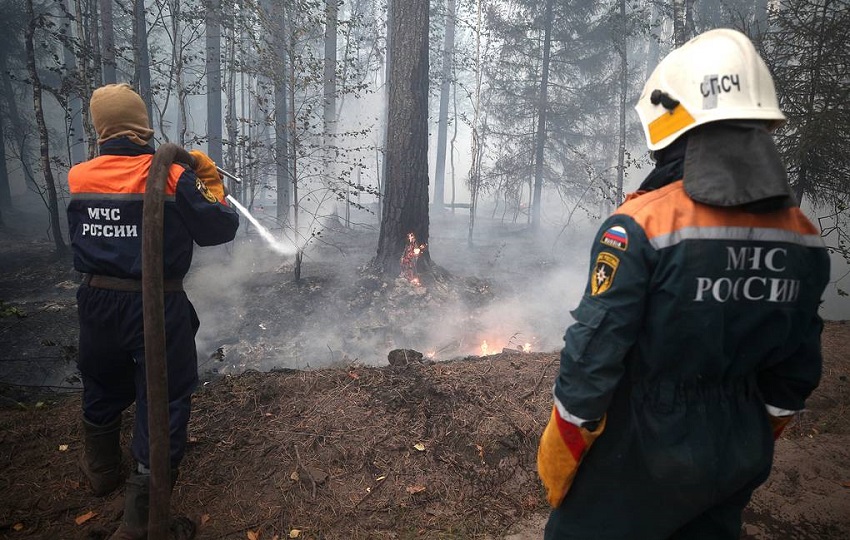Пермский край обволок смог от лесных пожаров