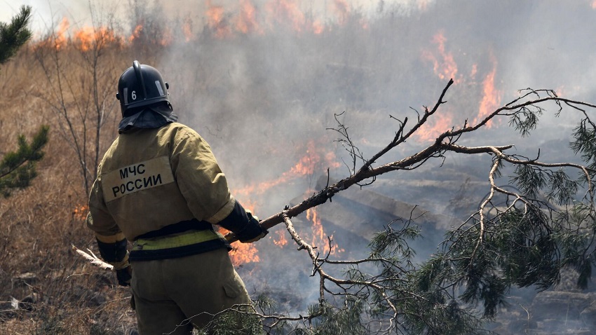 Прикамье может оказаться в дымке от лесных пожаров в ХМАО