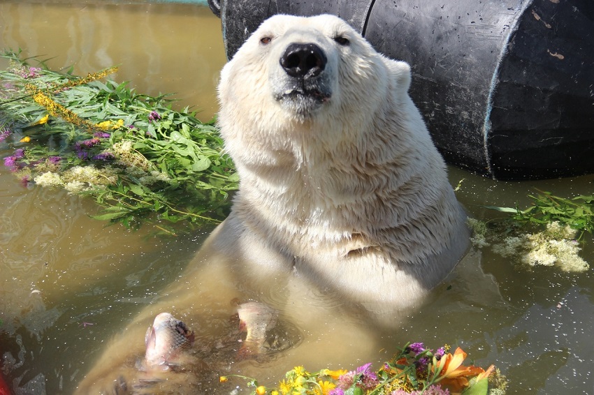 В администрации губернатора Прикамья удивились заявлению мэра по поводу зоопарка