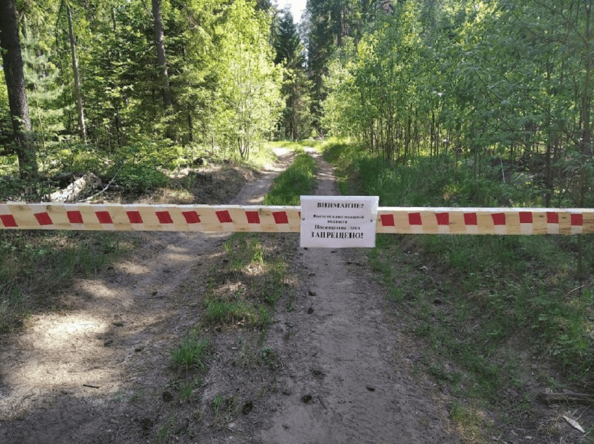 В Пермском крае запретили посещать леса до 7 мая