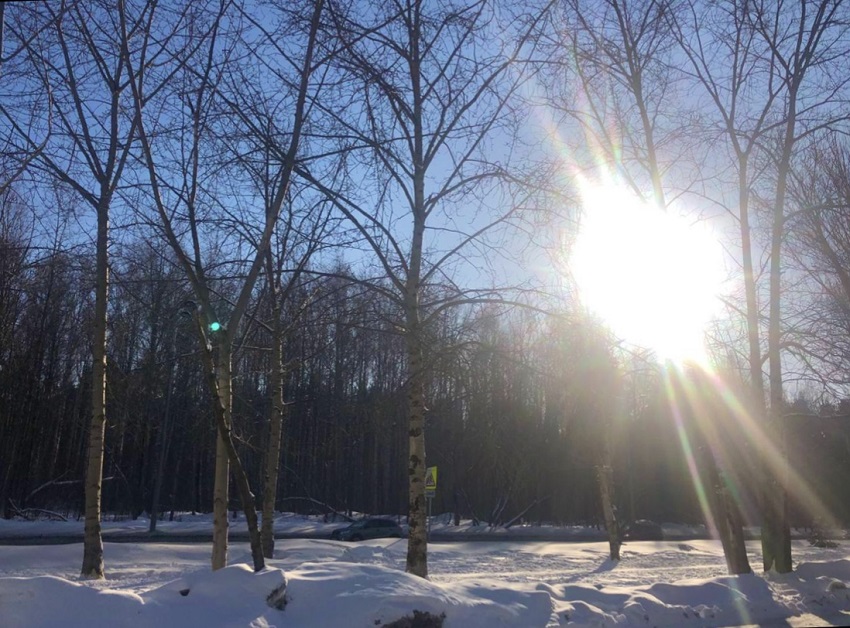 В выходные в Прикамье ожидается до +8°С и снег с дождем