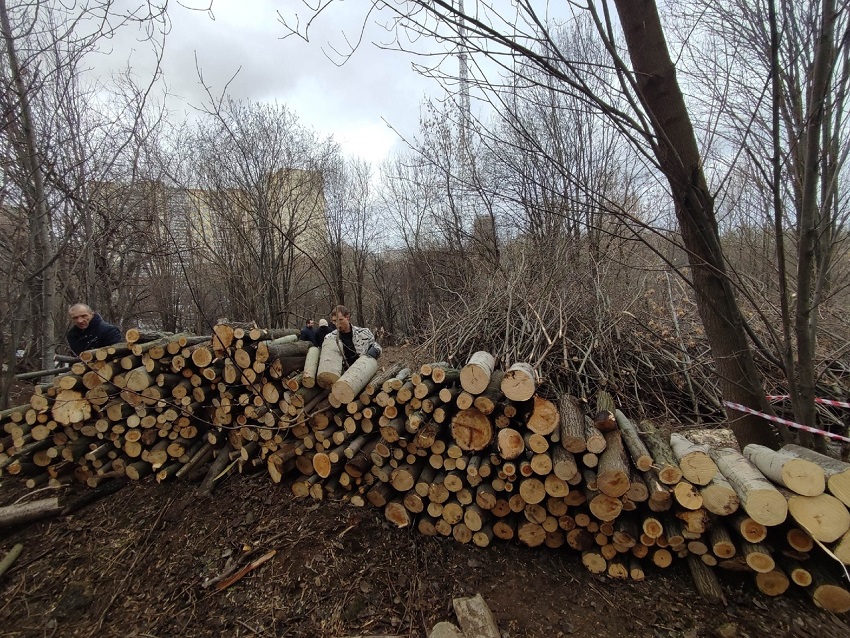 В Перми собственники участков в Саду соловьев начали вырубку деревьев