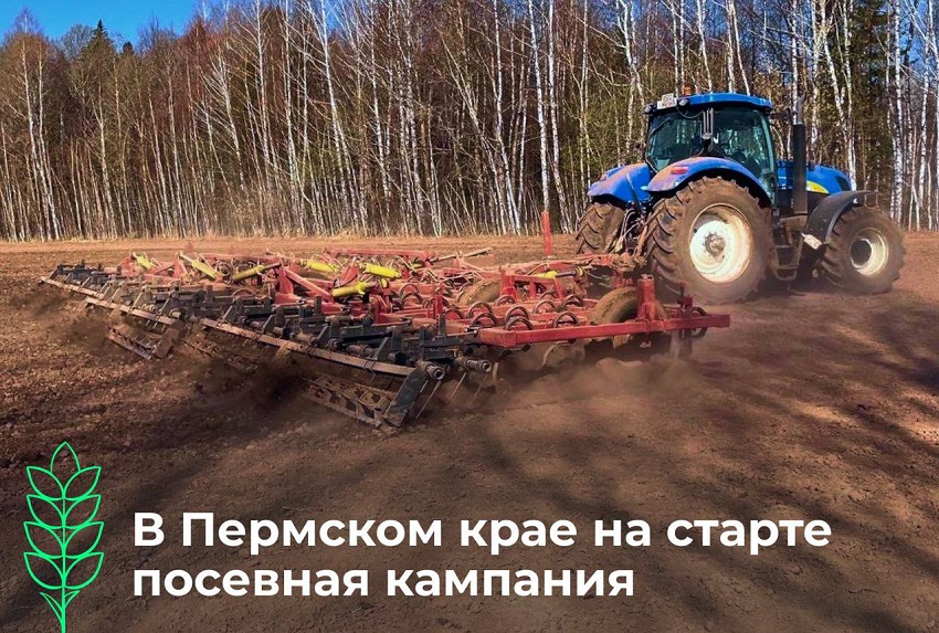 В 2024 году посевные площади в Пермском крае достигнут 690 тысяч гектаров